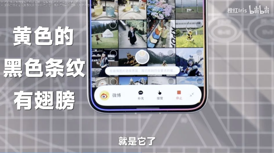 橙红演示根据颜色、条纹和翅膀等特征在相册中寻找照片