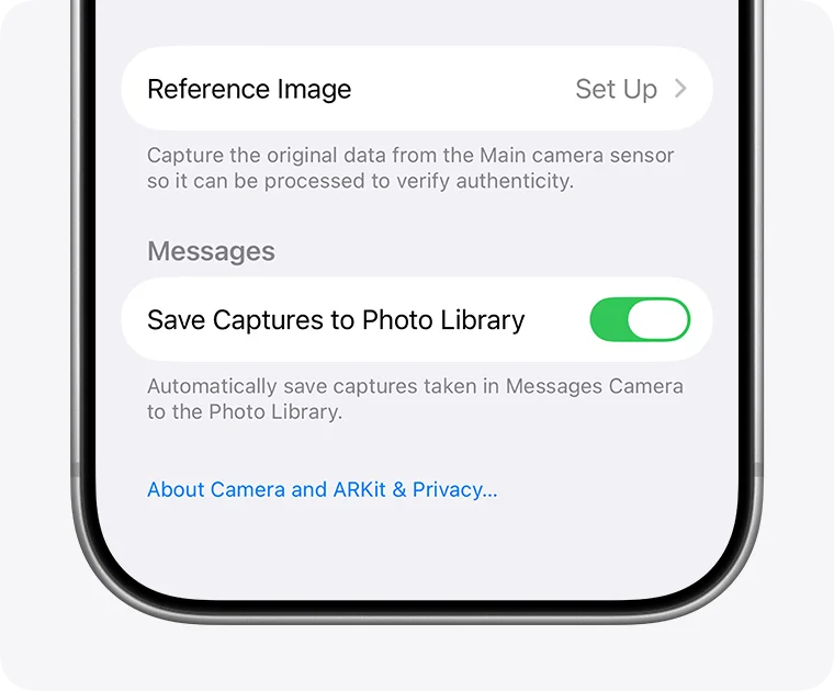 相机设置里的 Reference Image 入口,点 Set Up 按提示添加